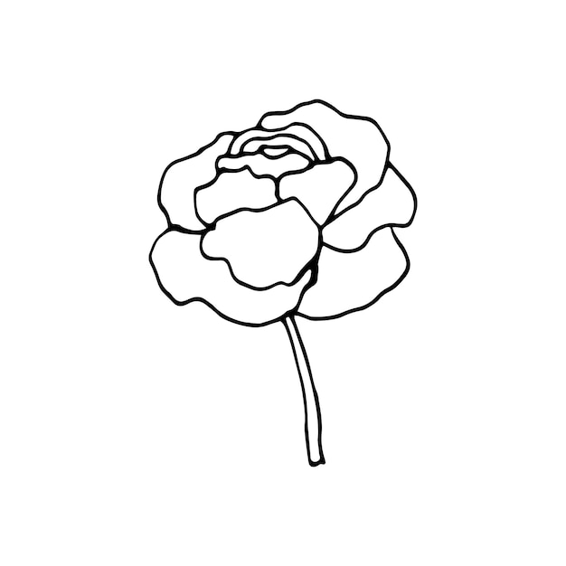 かわいい片手で描かれた花の要素 結婚式のデザイン ロゴ グリーティングカードの落書きベクトルイラスト プレミアムベクター