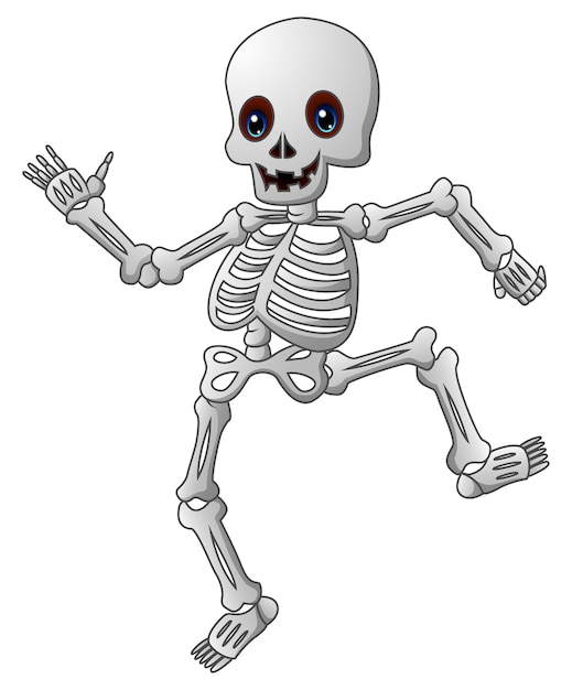 Premium Vector | Cute skeleton cartoon