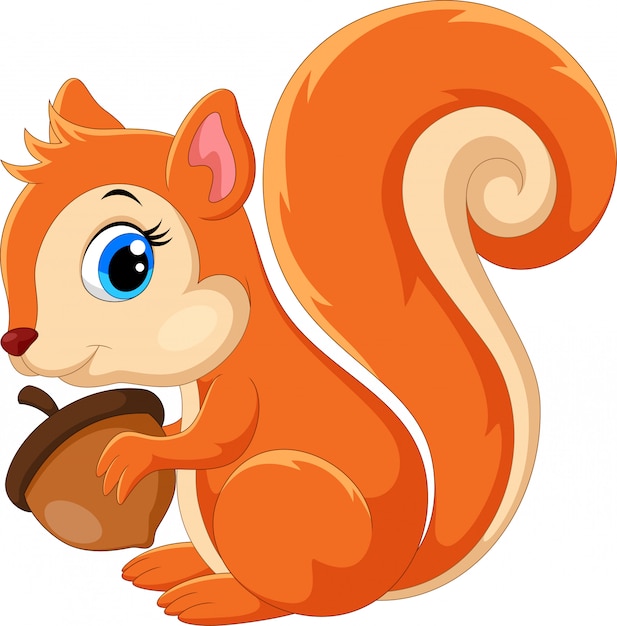 Premium Vector | Cute squirrel cartoon