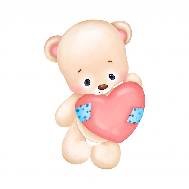 cute teddy