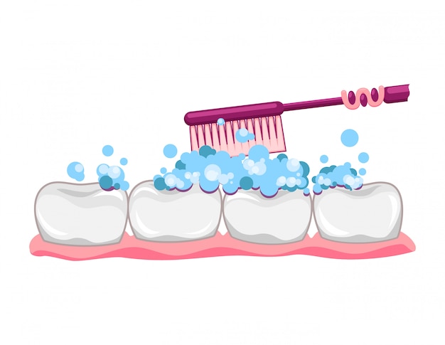 歯ブラシと歯磨き粉でかわいい歯 きれいな歯を磨きます 歯科子供のケア 歯茎の義歯 モダンなフラットスタイル漫画キャライラスト プレミアムベクター