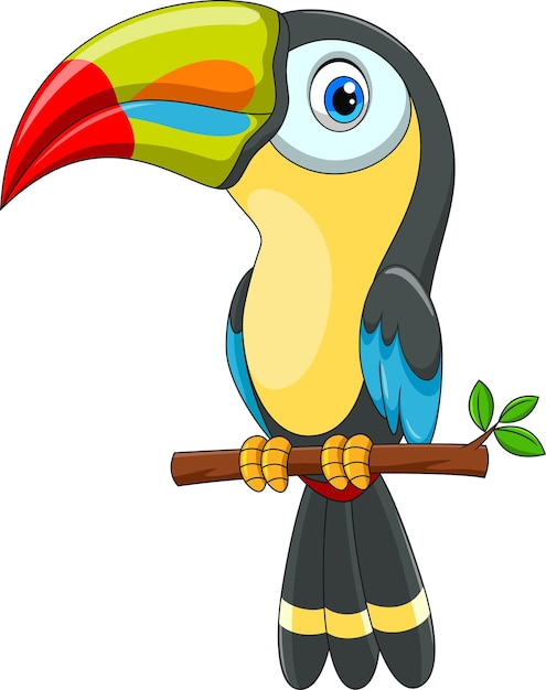 Premium Vector | Cute toucan bird cartoon isolated on white