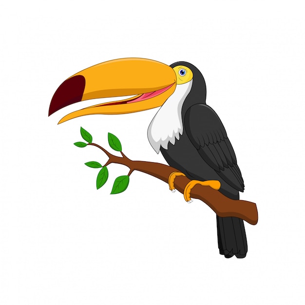 Premium Vector | Cute toucan bird cartoon