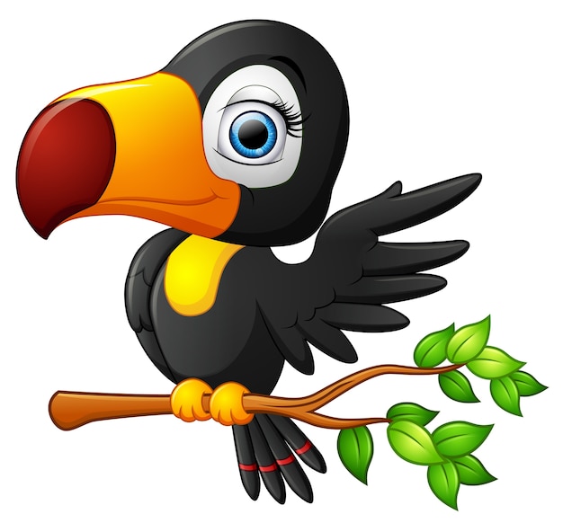 Cute toucan bird cartoon Vector | Premium Download