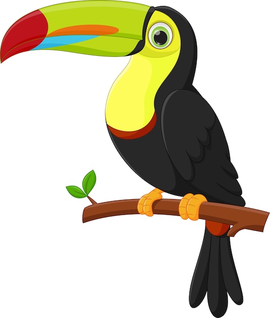 Premium Vector | Cute toucan bird cartoon