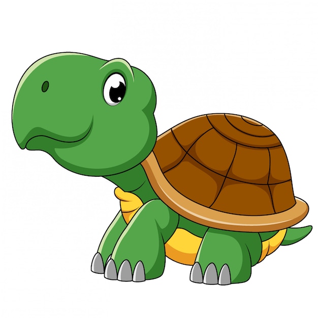 Premium Vector Cute turtle cartoon character of illustration