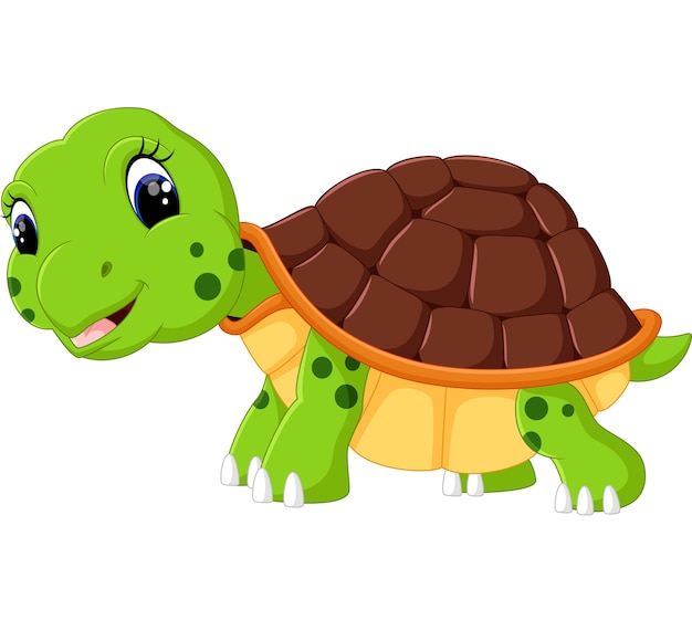 Premium Vector | Cute turtle cartoon