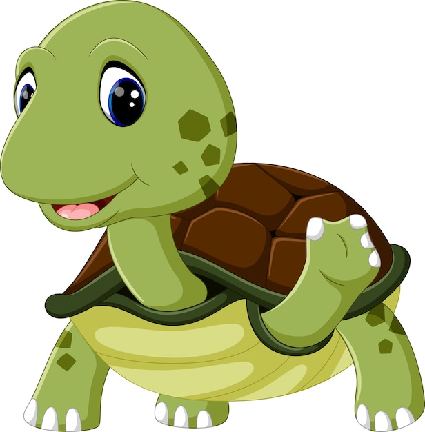 Cute turtle cartoon Premium Vector