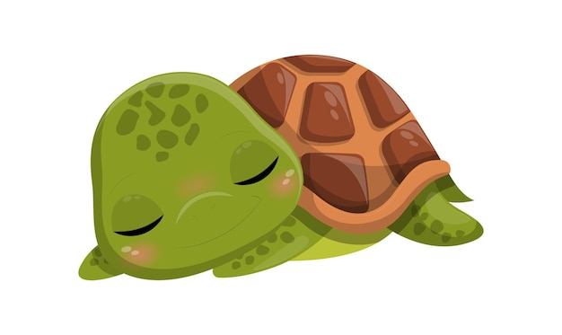 Premium Vector Cute Turtle Sleep