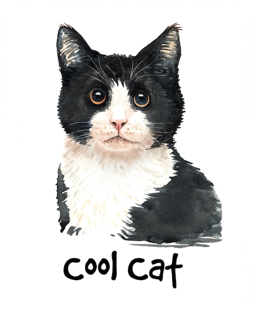 プレミアムベクター かわいい水彩黒猫イラスト