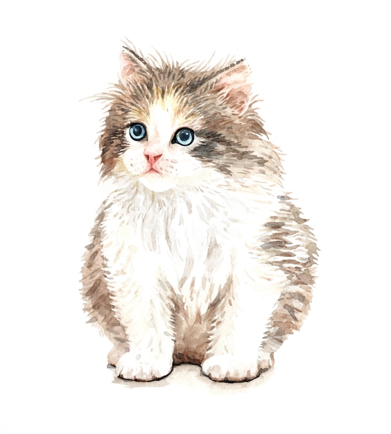 かわいい水彩画猫イラスト Tシャツプリント プレミアムベクター