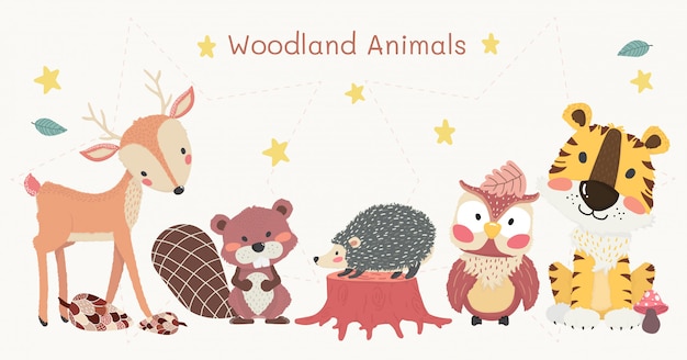Forest Animals Clipart Images Free Vectors Stock Photos Psd