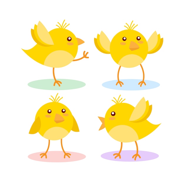 Premium Vector | Cute yellow chicken isolated on white