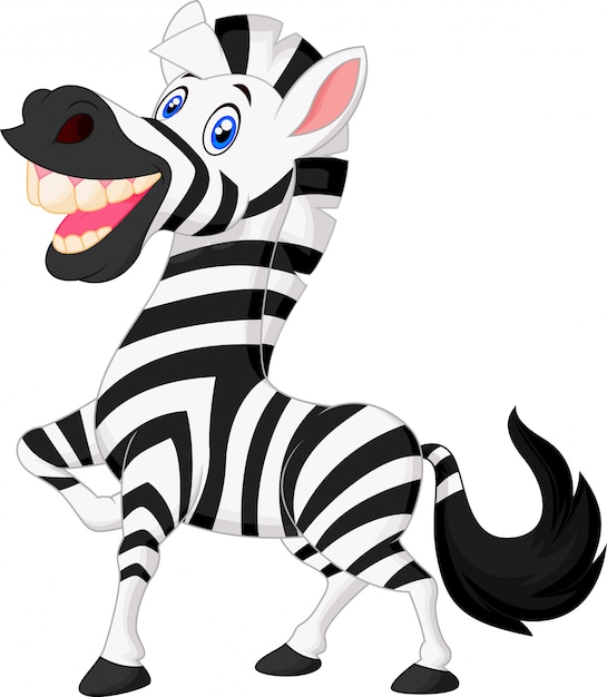 oxpecker and zebra cartoon
