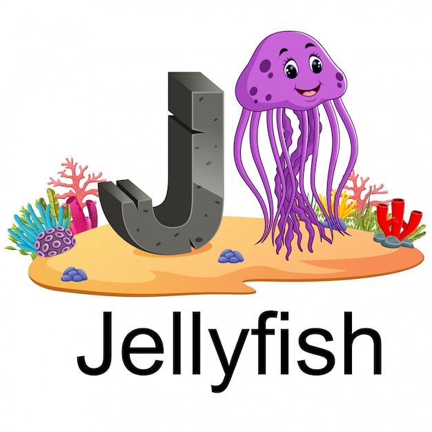 Premium Vector | Cute zoo animal alphabet j for jelly fish with real animal