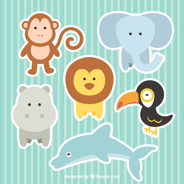 Cute zoo animals collection