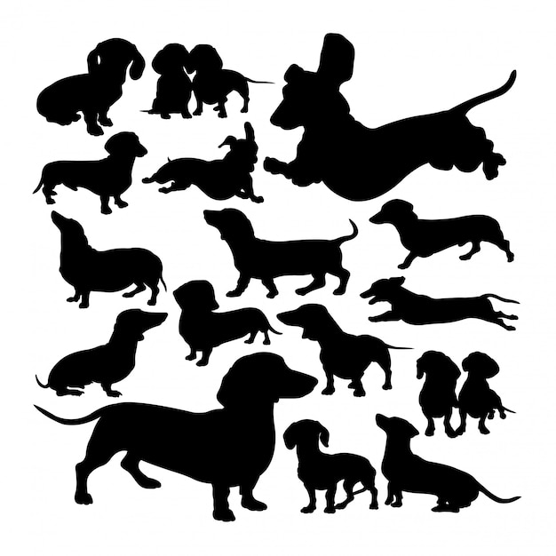 ダックスフント犬動物のシルエット プレミアムベクター