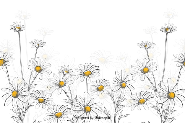 Daisies decorative background watercolor style Free Vector
