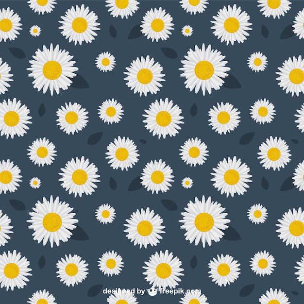 Download Daisies pattern | Free Vector