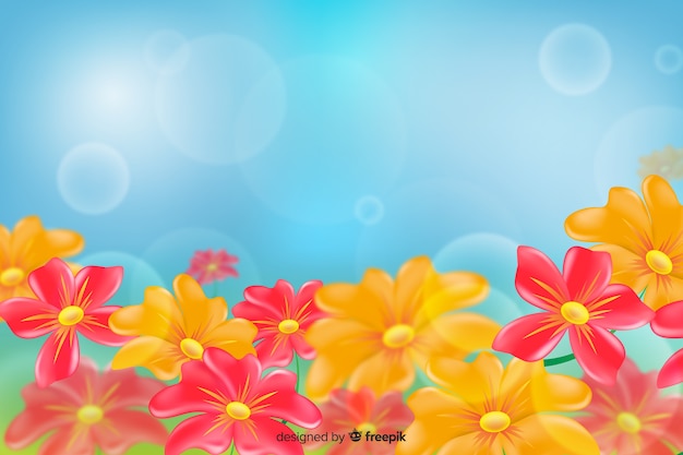 Daisy coloured flowers in a blue light background Vector | Free Download