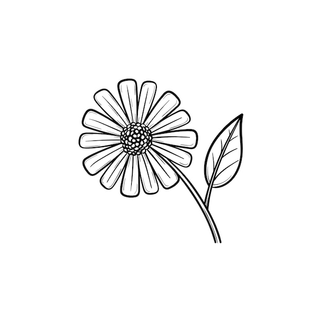 デイジーの花の手描きのアウトライン落書きアイコン 白い背景で隔離の印刷 ウェブ モバイル インフォグラフィックの花びらのベクトルスケッチイラスト とフィールドデイジーの花 プレミアムベクター
