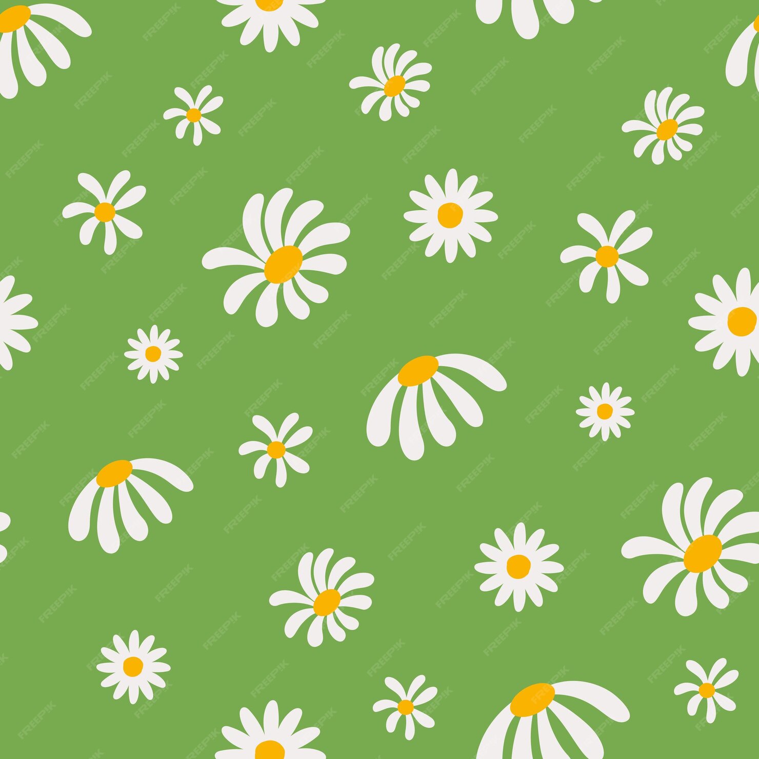 Premium Vector | Daisy flowers seamless pattern on green background