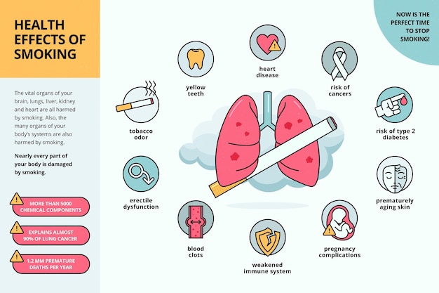 Free Vector | Danger of smoking - infographic