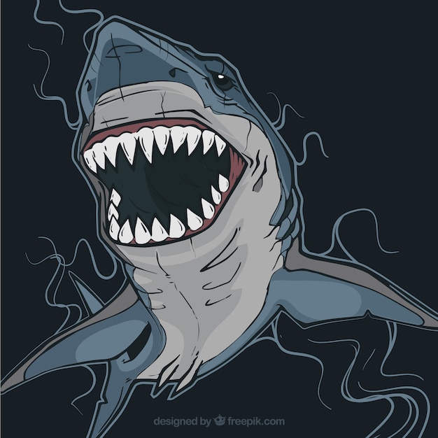 Jaws Shark Vectors, Photos and PSD files | Free Download