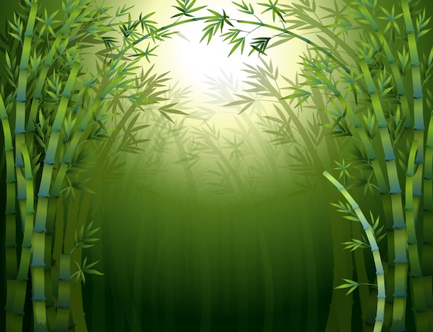 Premium Vector | A dark bamboo forest