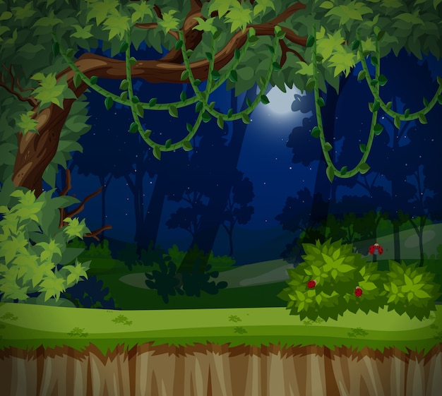 premium-vector-a-dark-forest-at-night