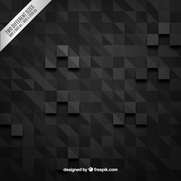 Black and White Pixel Design