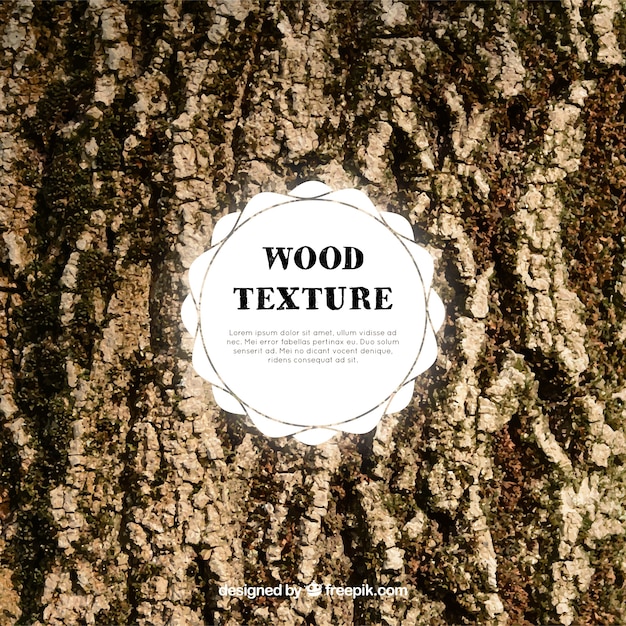 Dark texture of wood trunk