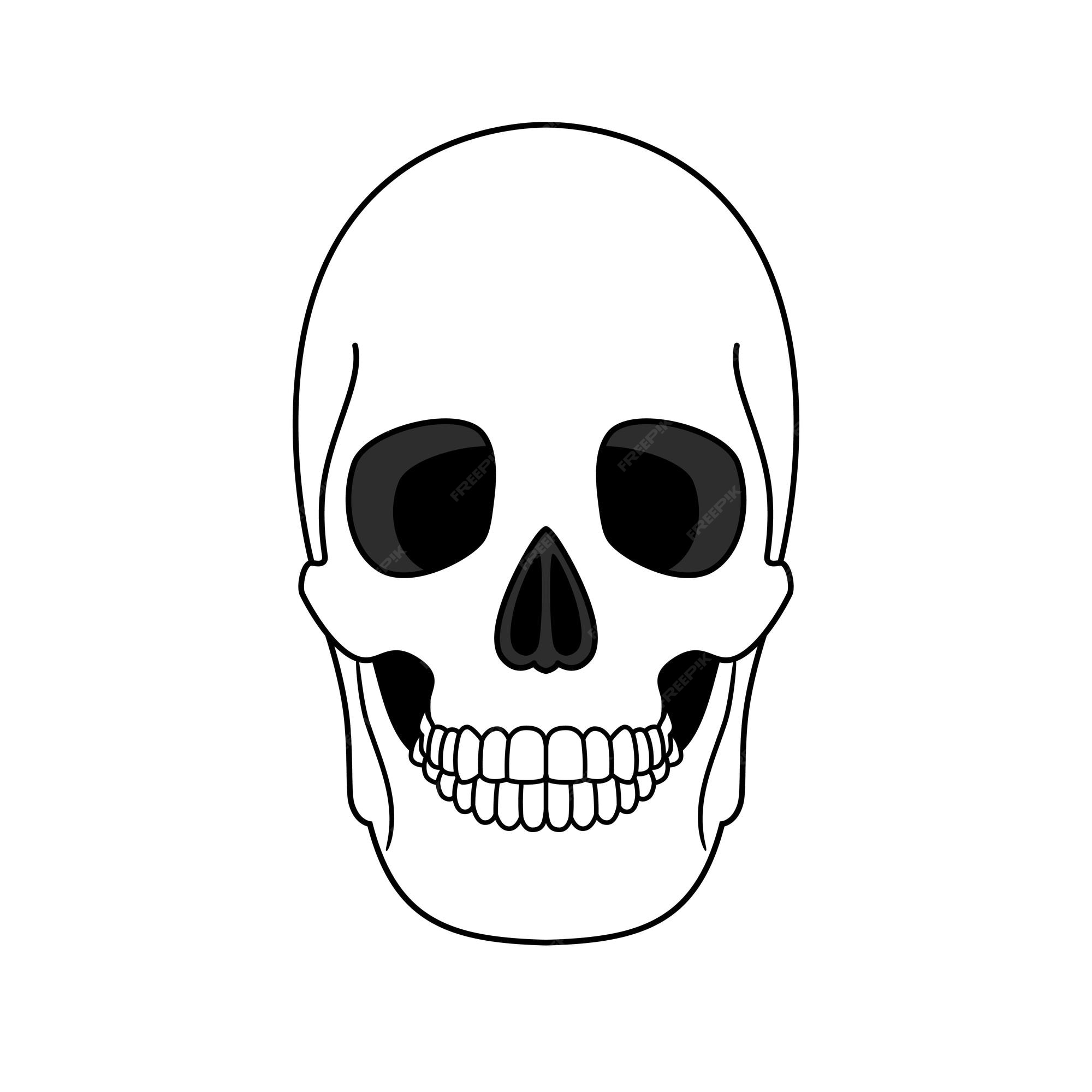 premium-vector-decoration-from-outline-skull-anatomical-correct