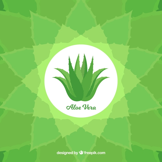 Decorative Background With Aloe Vera Plant Free Vector 7032