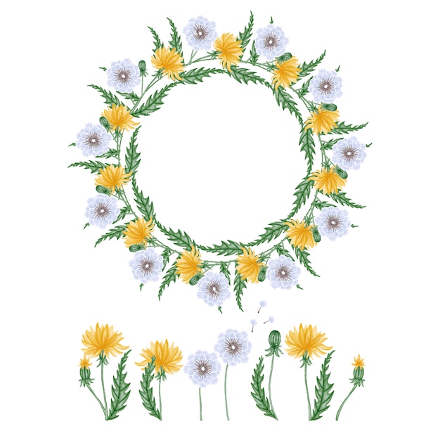 Download Decorative floral elements Vector | Free Download