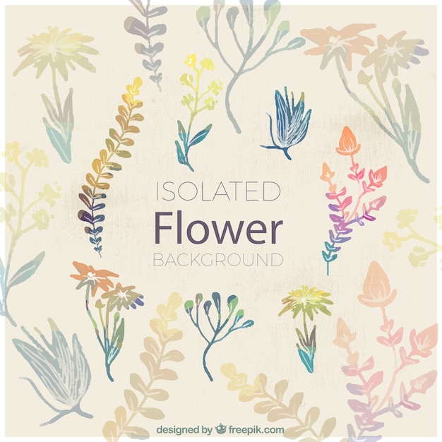 Decorative flowers painted with
watercolor