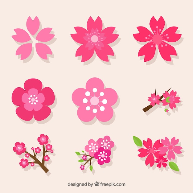 decorative pack of variety of cherry blossoms_23 2147604622