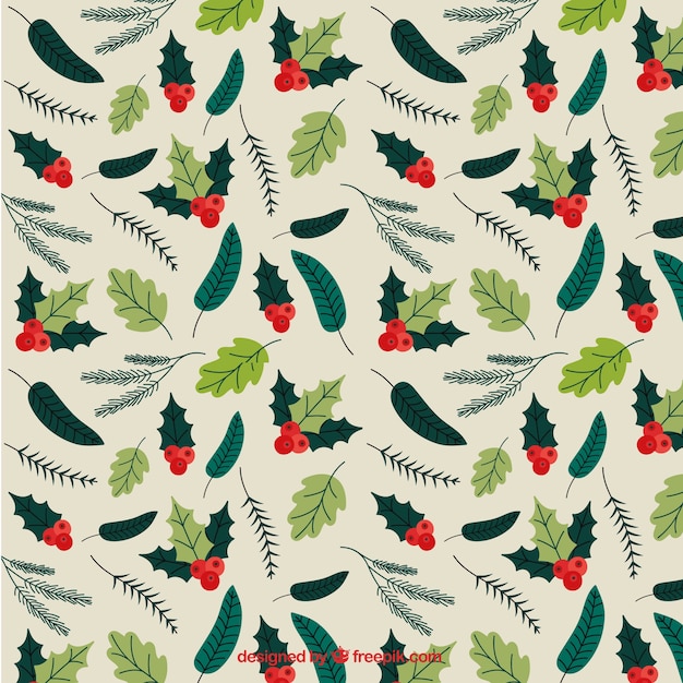 Decorative pattern of leaves and mistletoe Vector | Free Download