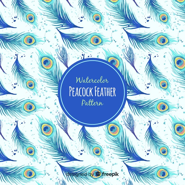 decorative-peacock-feather-pattern-vector-free-download