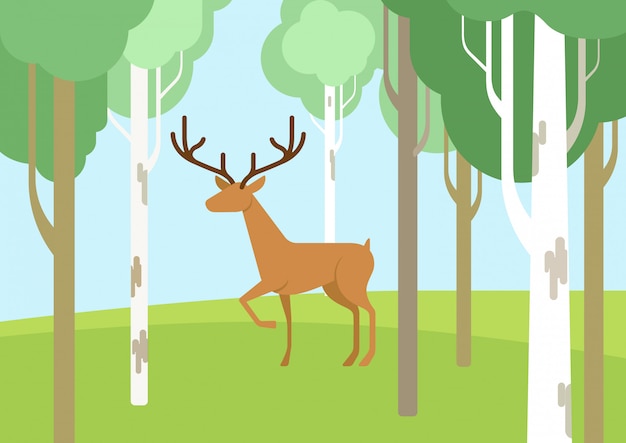 Free Vector Deer In The Birchwood Forest Flat Design Cartoon Wild Animals