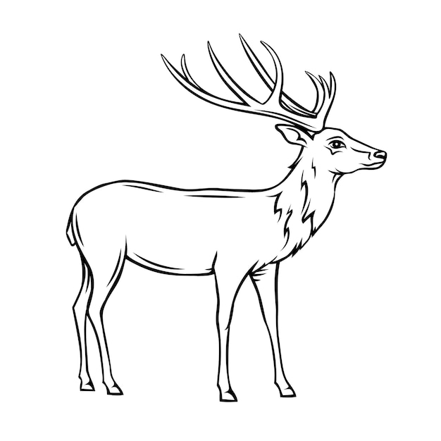 Premium Vector | Deer icon. wild reindeer outline badge. zoo animal.