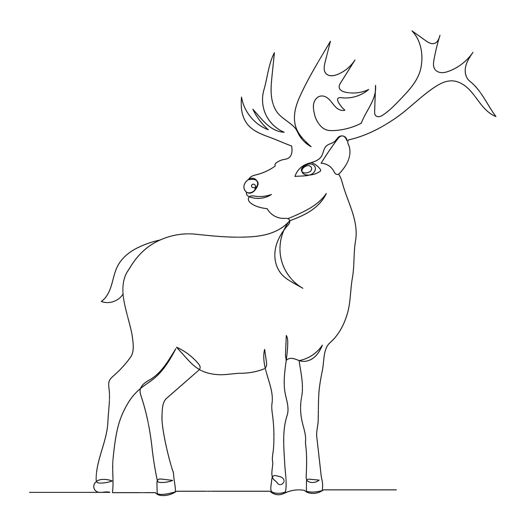 Premium Vector | Deer with antlers drawing by one continuous line, sketch