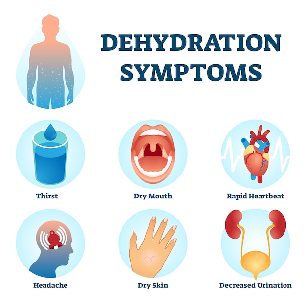 Premium Vector | Dehydration symptoms illustration. water deficit ...