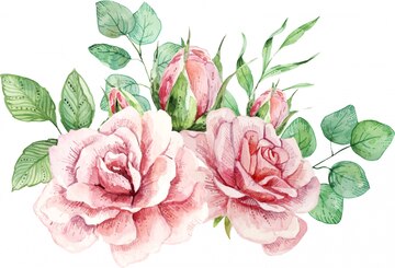 Premium Vector | Delicate watercolor composition with roses and leaves.
