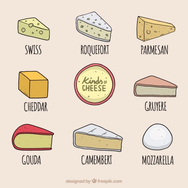 Delicious Cheeses Selection Vector | Free Download