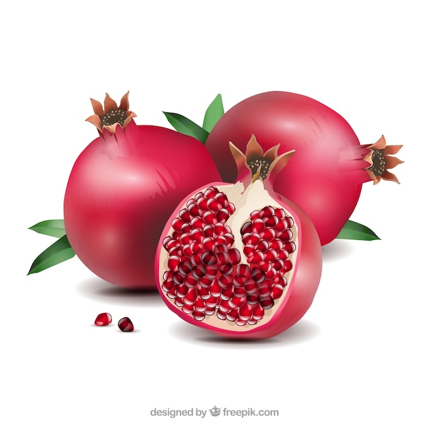 Download Pomegranate Vectors, Photos and PSD files | Free Download