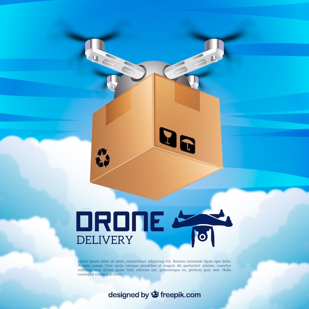 Delivery drone design Circuit Diagram