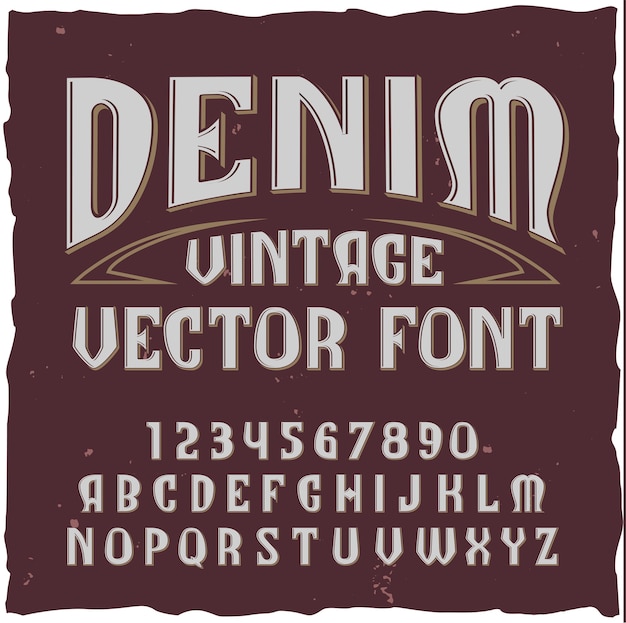 Free Vector | Denim alphabet with vintage style font typekit with ...