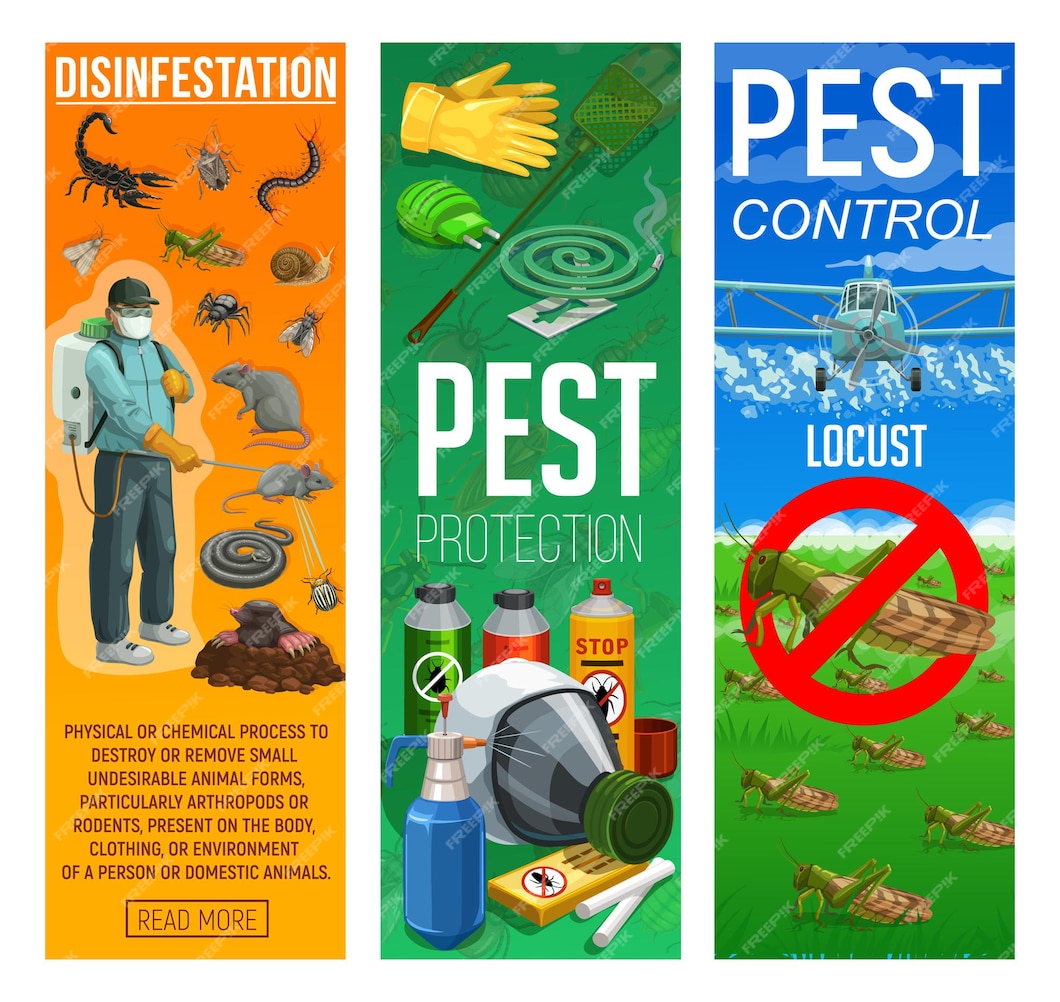 Premium Vector | Deratization and disinfection, rodents and insects ...