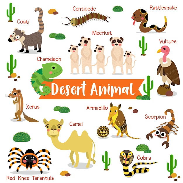動物の名前の砂漠の動物の漫画 プレミアムベクター
